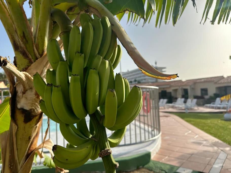 Bungalow Santa Fe Μασπαλόμας Εξωτερικό φωτογραφία
